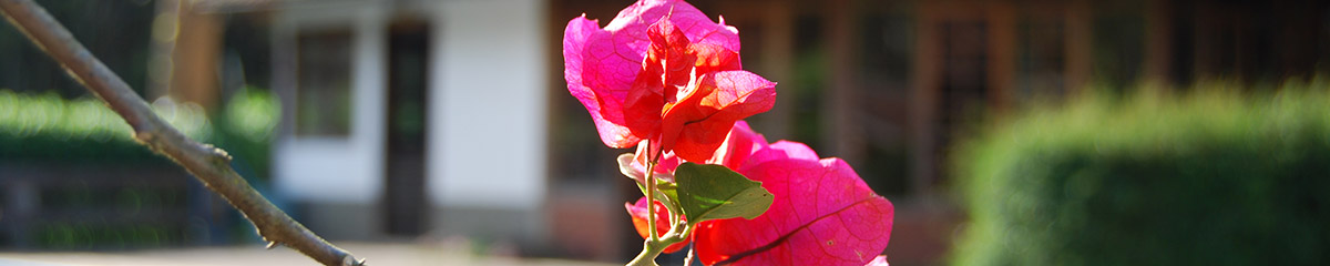 alugar chalés em visconde de mauá