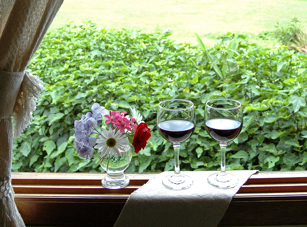 Vista Janela - Chalé 5